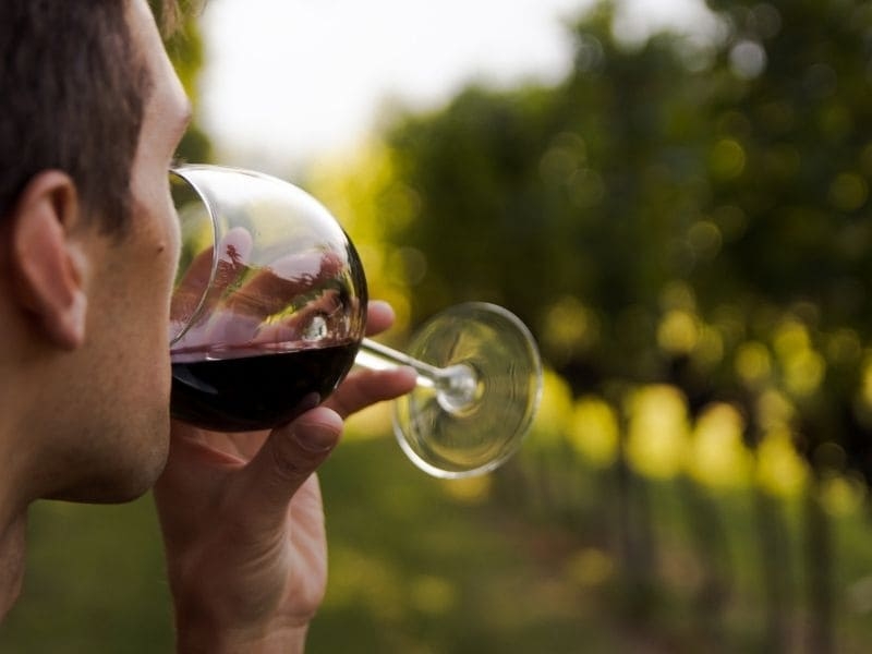 赤ワイン　飲み方