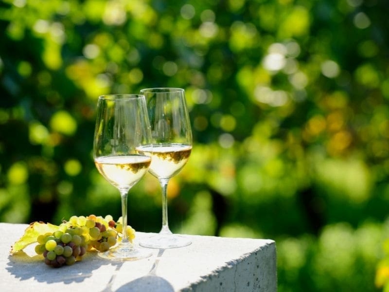 白ワイン　グラス