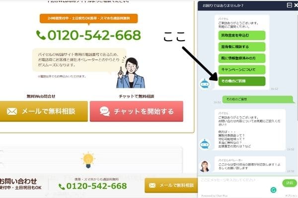 バイセル　画像