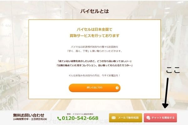 バイセル　画像