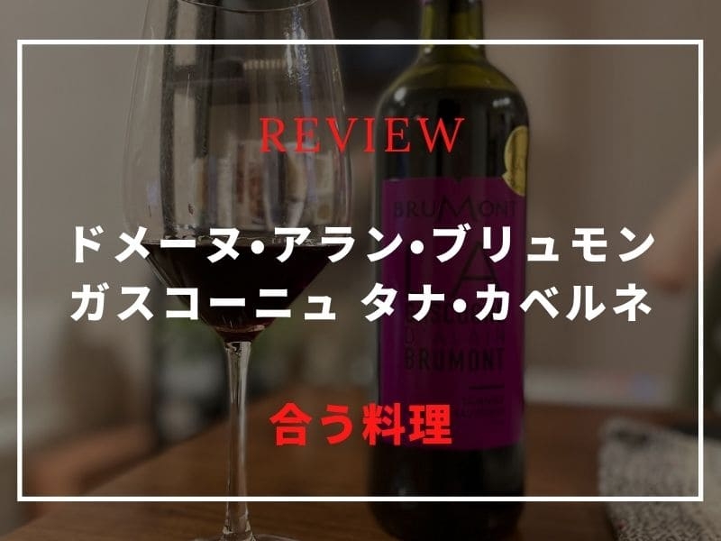 ドメーヌ・アラン・ブリュモン ガスコーニュ タナ・カベルネ ワイン
