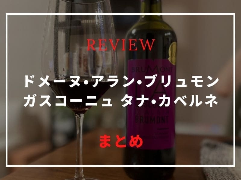 ドメーヌ・アラン・ブリュモン ガスコーニュ タナ・カベルネ ワイン