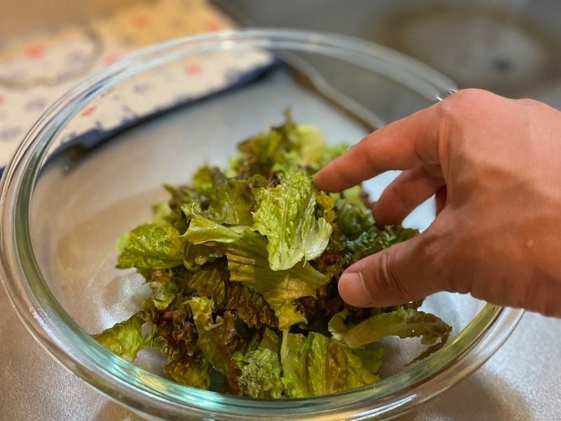 サニーレタス サラダ