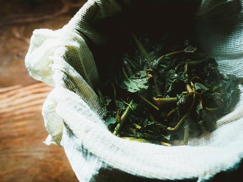 北海道TEA ワインブドウリーフティー2021