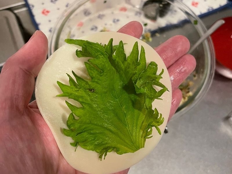 しそチーズ餃子