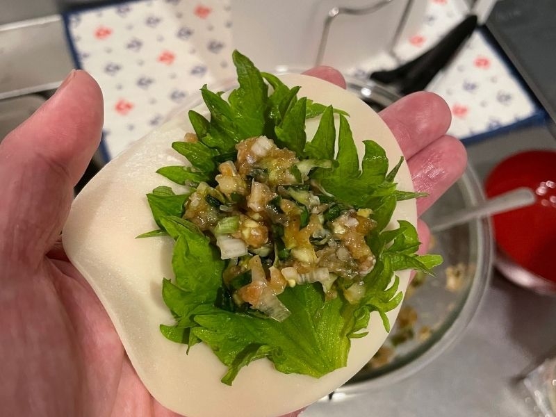 しそチーズ餃子