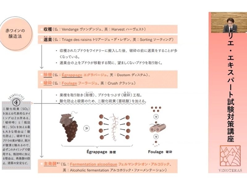 ヴィノテラス ワインスクール　学習画面