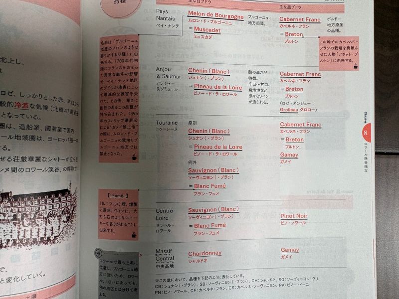 ヴィノテラステキストブック 2025