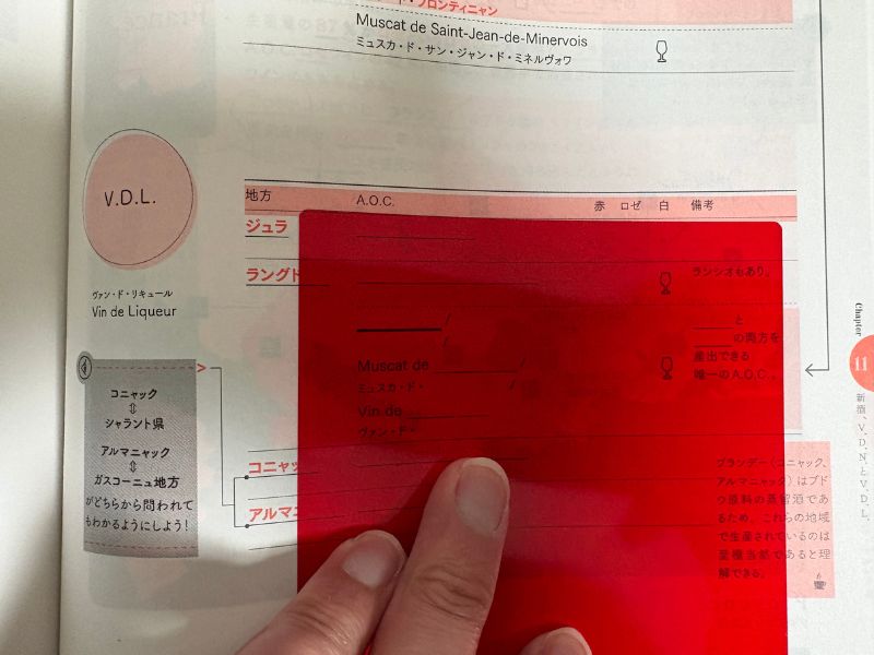 ヴィノテラステキストブック 2025