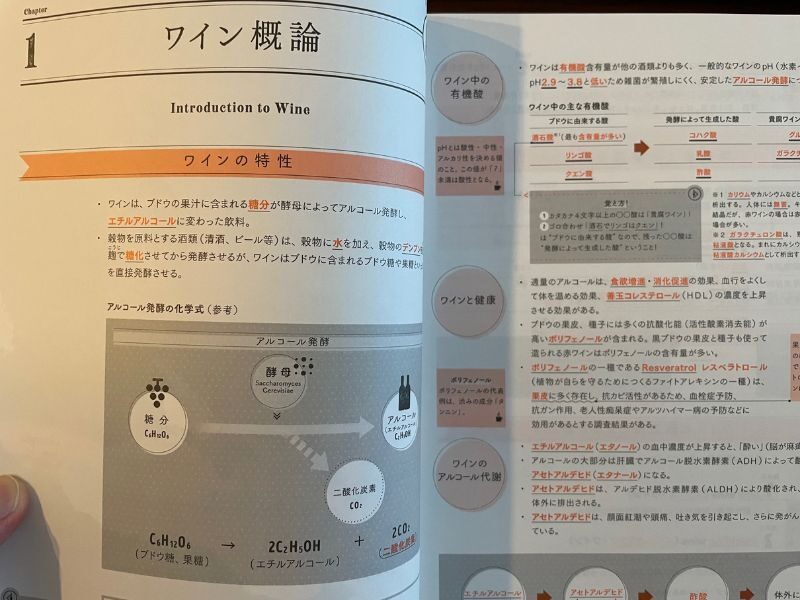 ヴィノテラステキストブック