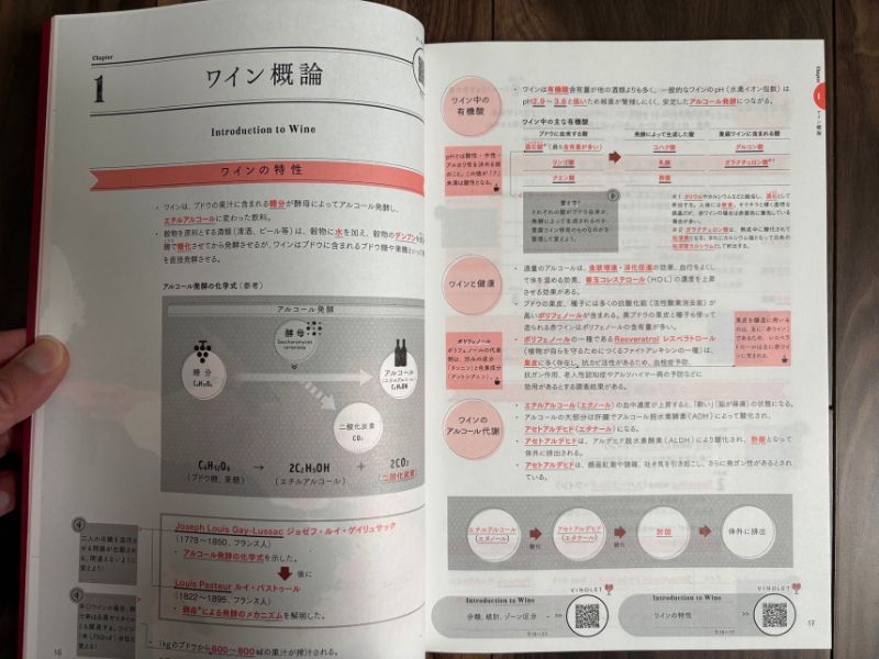 ヴィノテラステキストブック 2025