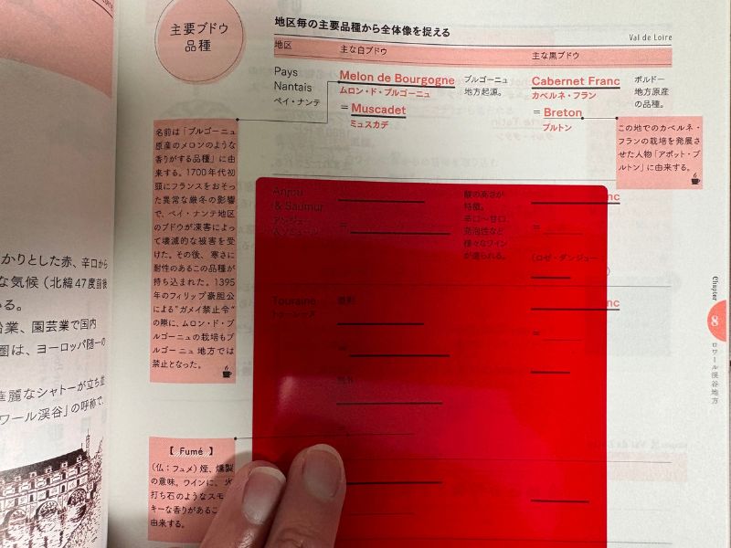 ヴィノテラステキストブック 2025