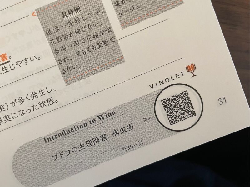 ヴィノテラステキストブック