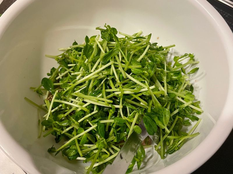 豆苗中華サラダ