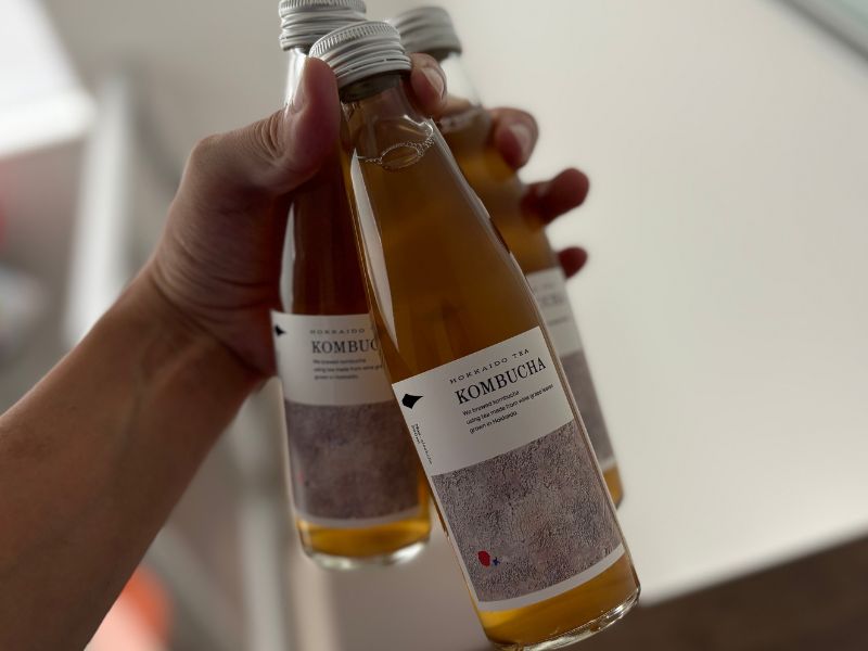 HOKKAIDO TEA KOMBUCHA
