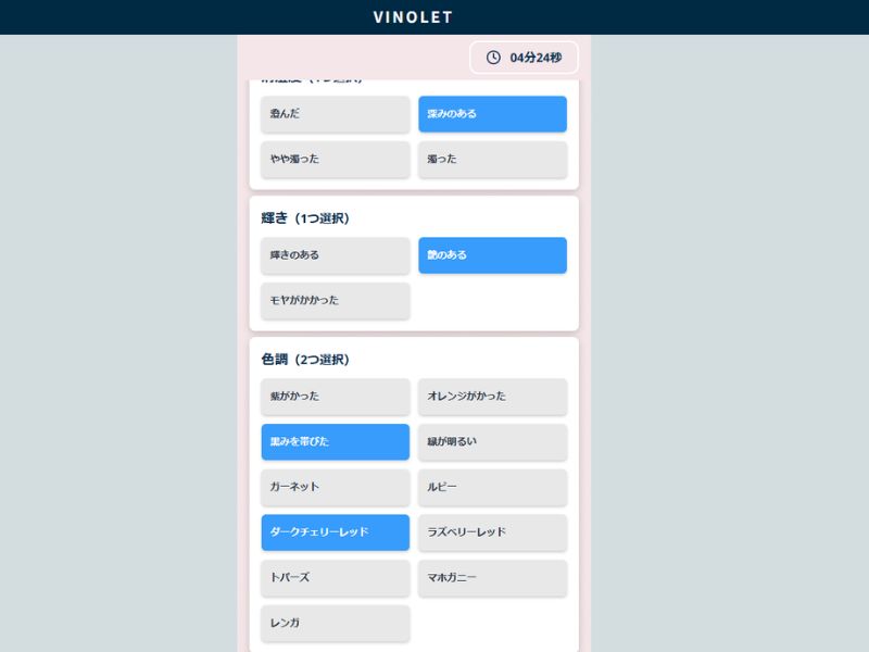 VINOLET 2次試験対策