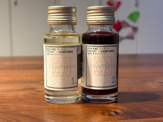 VINOLET　2次試験対策