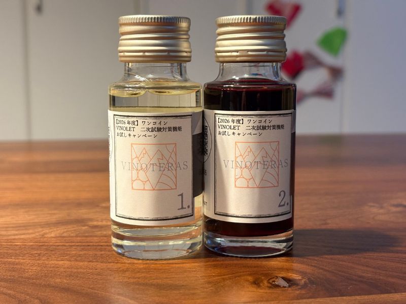 VINOLET　2次試験対策